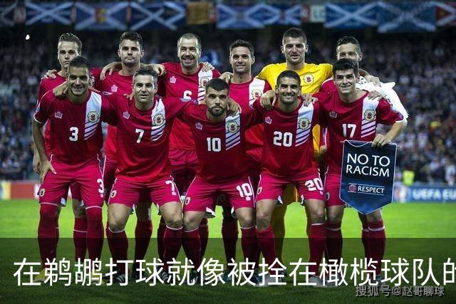 在鹈鹕打球就像被拴在橄榄球队的小狗